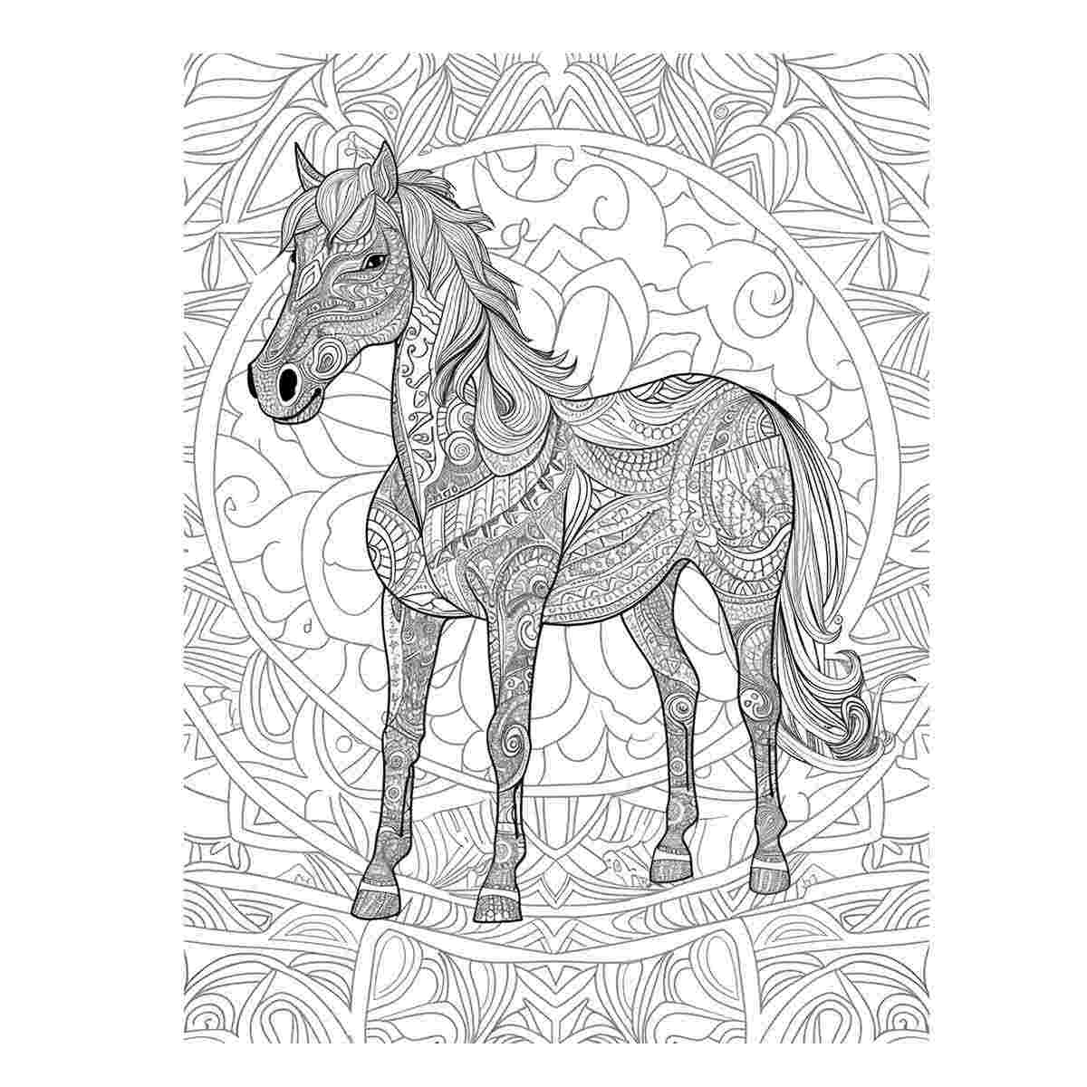 Colour me Horse