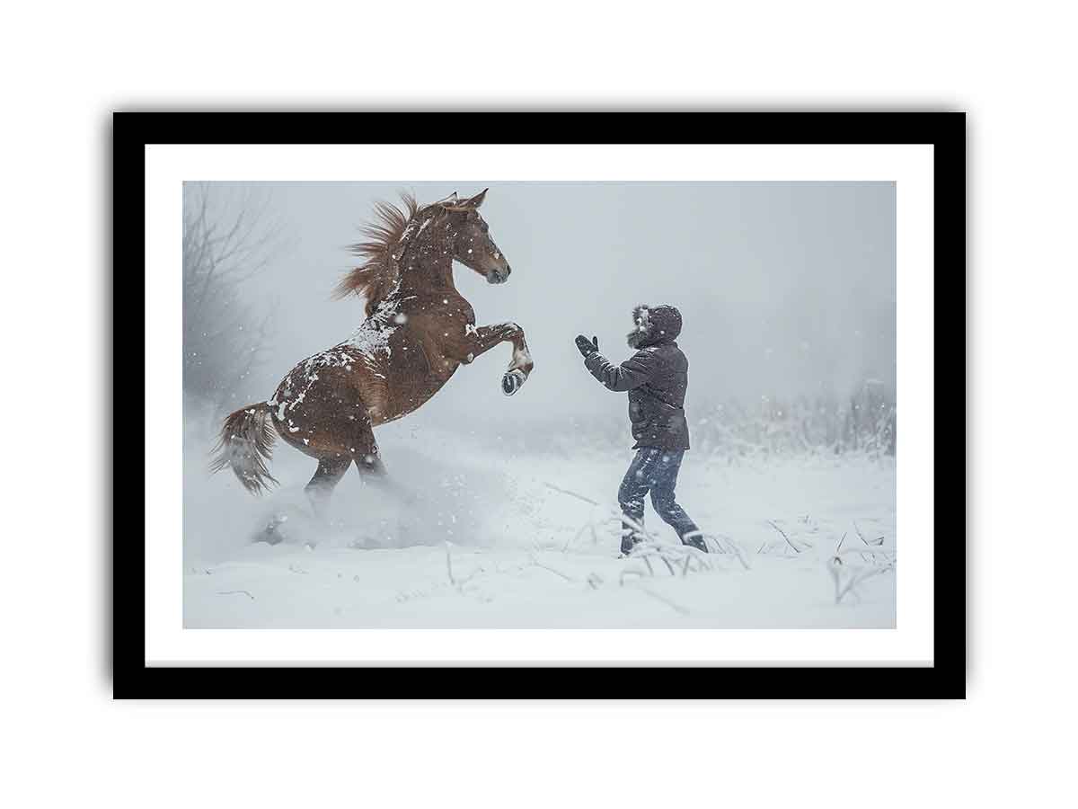 Framed Print