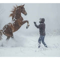  Playing With Horse