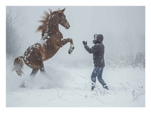  Playing With Horse
