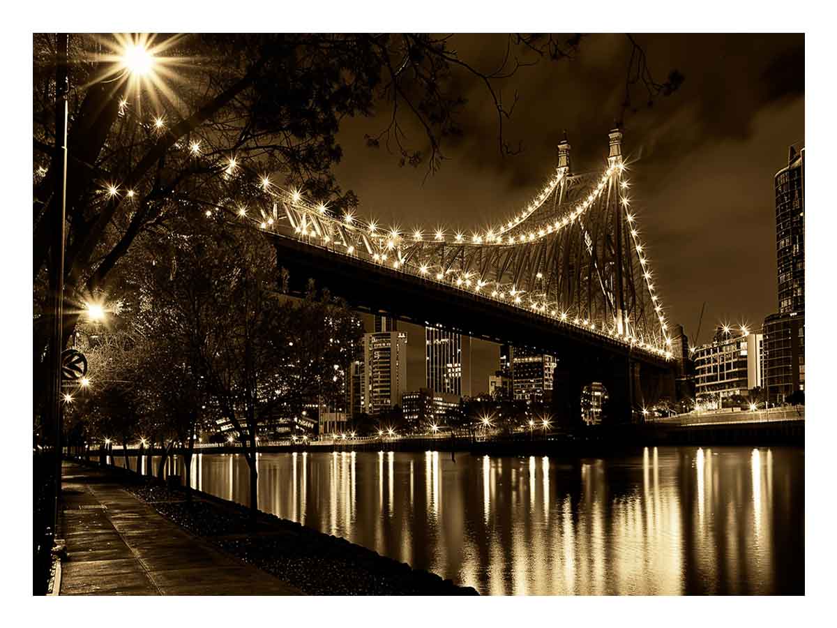 Story Bridge at Night  