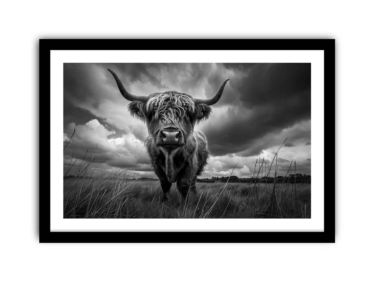 Framed Print