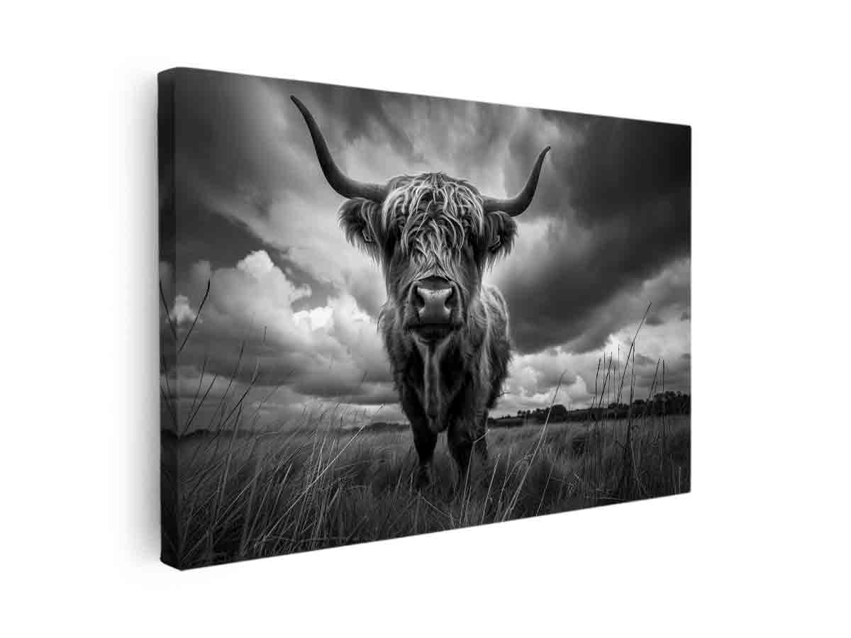Streched canvas