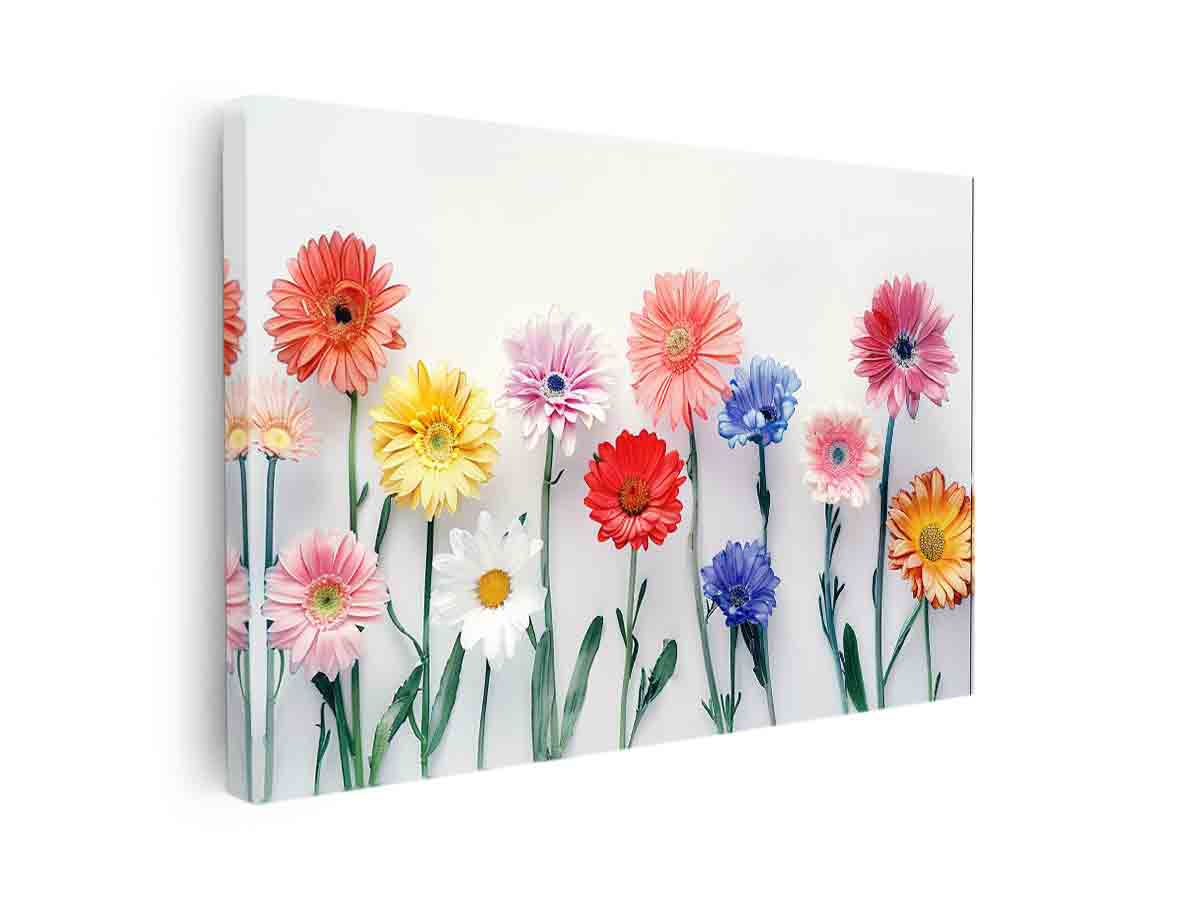 Streched canvas