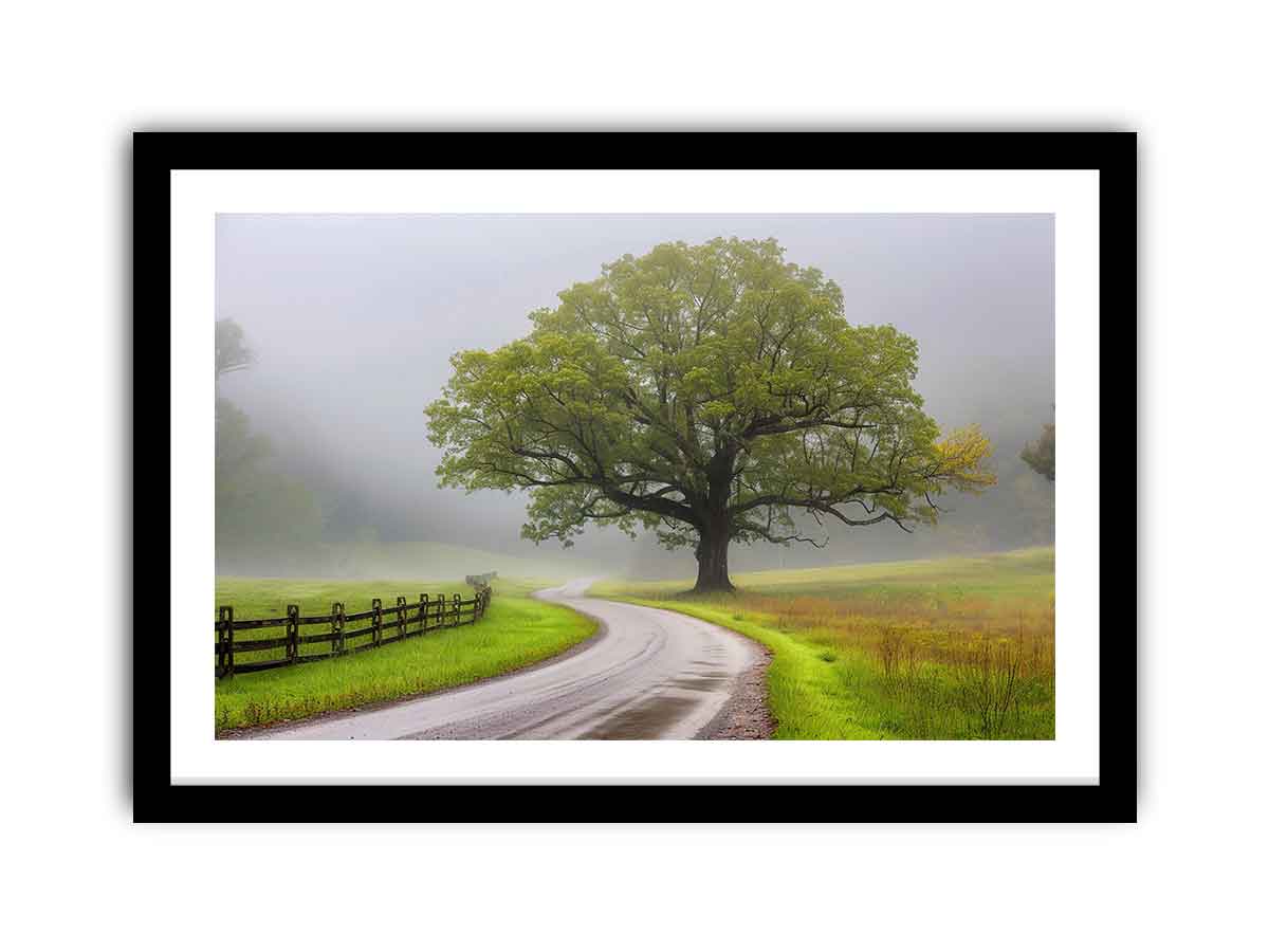 Framed Print