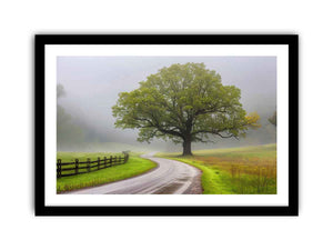 Framed Print