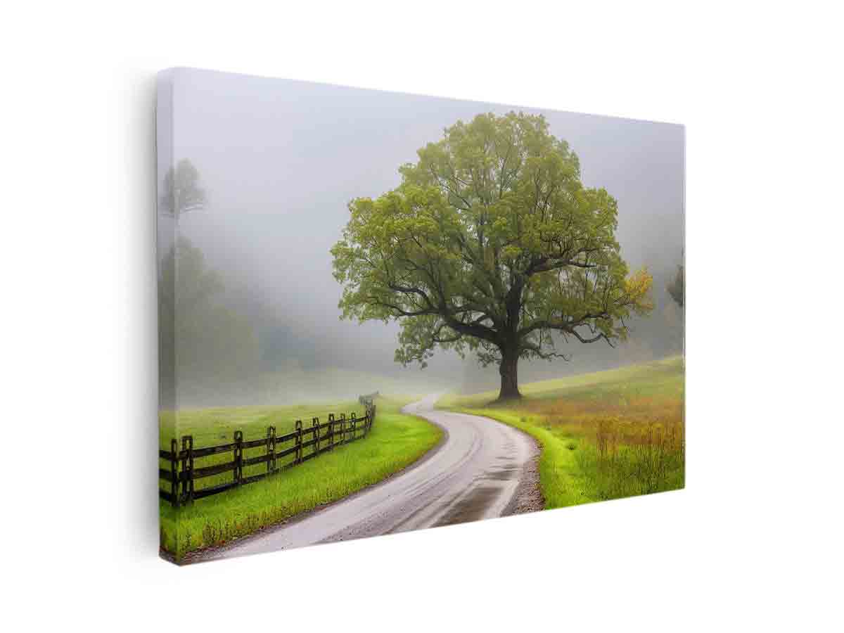 Streched canvas