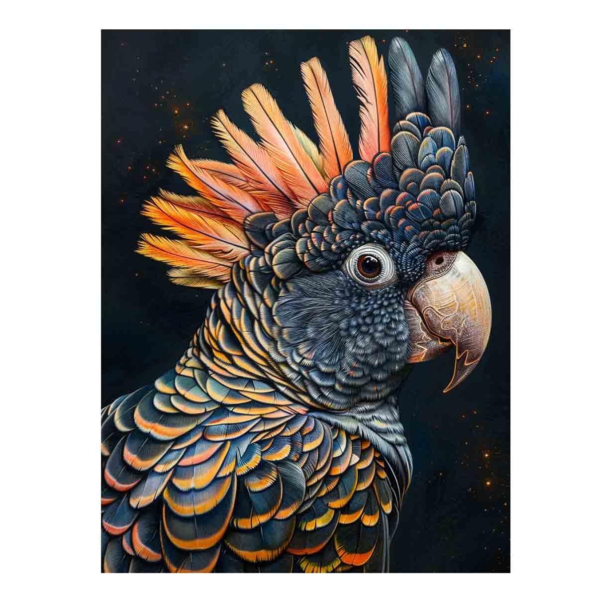 Cockatoo Black