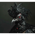 Black Cocky  