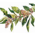 Watercolor leaf & Flowers