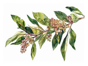 Watercolor leaf & Flowers