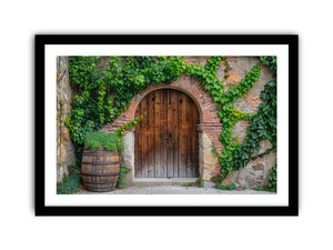 Framed Print