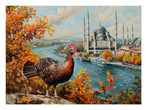 Turkey bird  