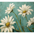 White daisies  