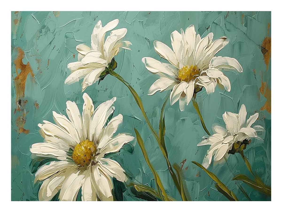 White daisies  