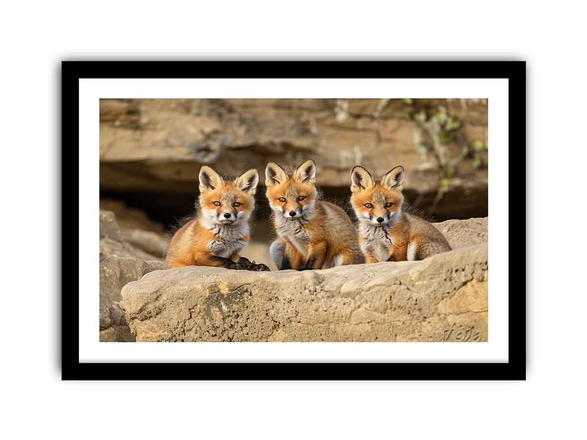 Framed Print