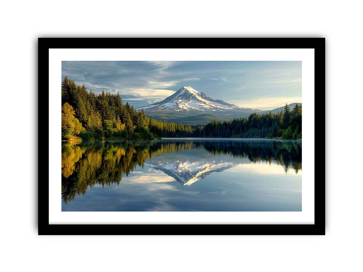 Framed Print