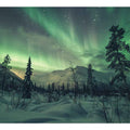 Northern Lights   