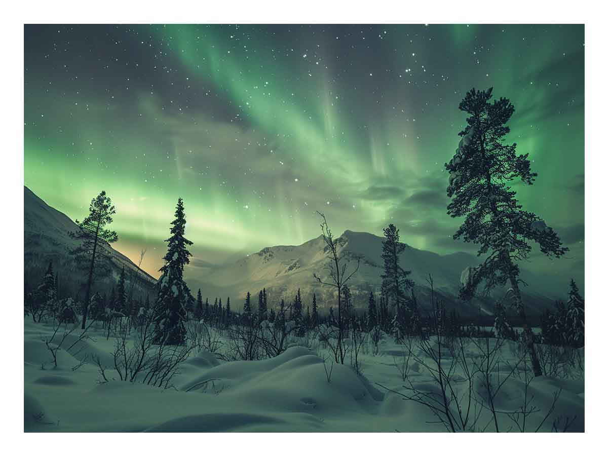 Northern Lights   