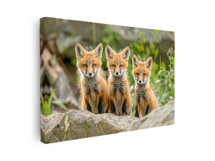 Red Fox  Art canvas Print