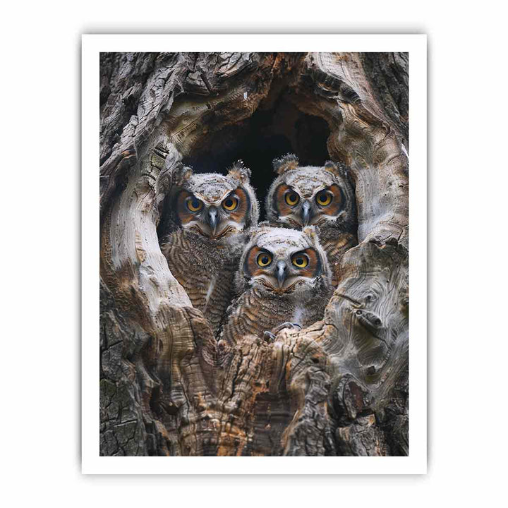 baby owls Art framed Print