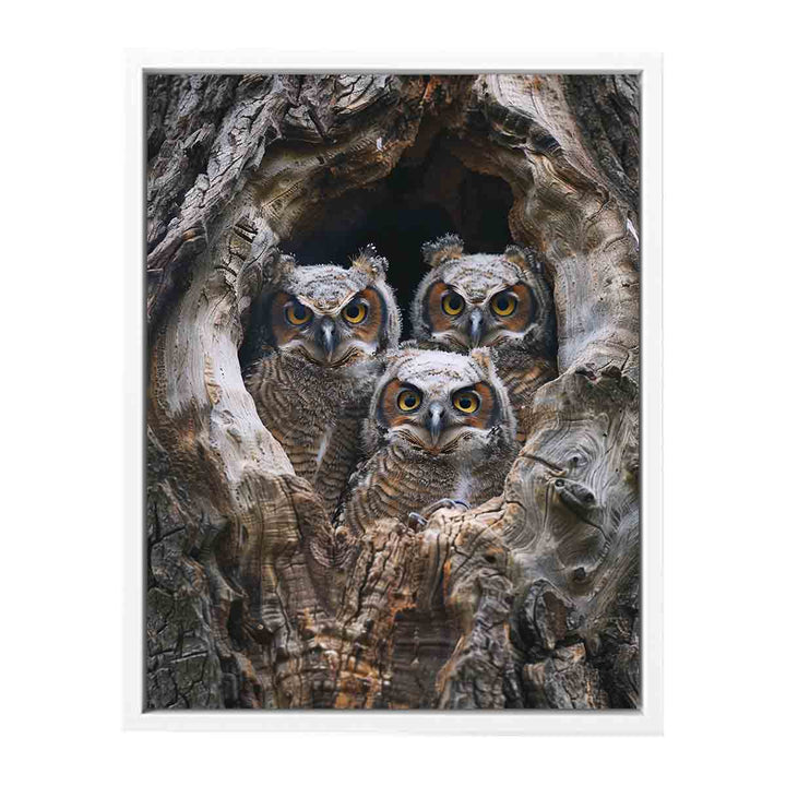 baby owls Art Painting