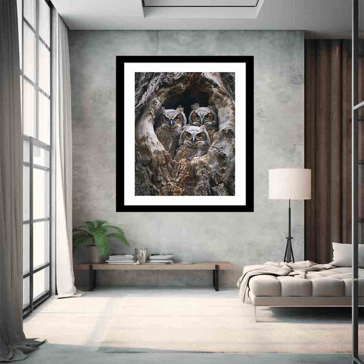 baby owls Art Print