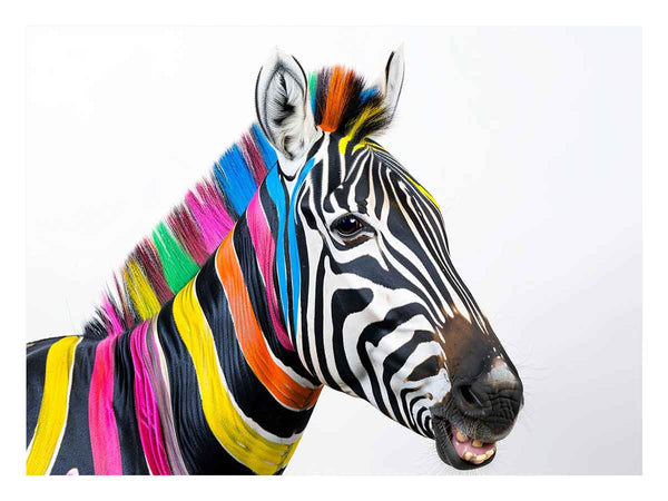 Colorful Zebra Art Print
