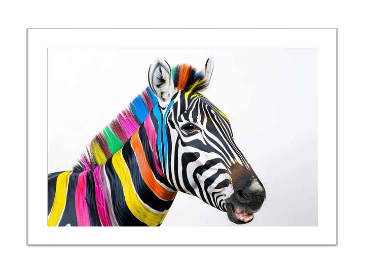 Colorful Zebra framed Print