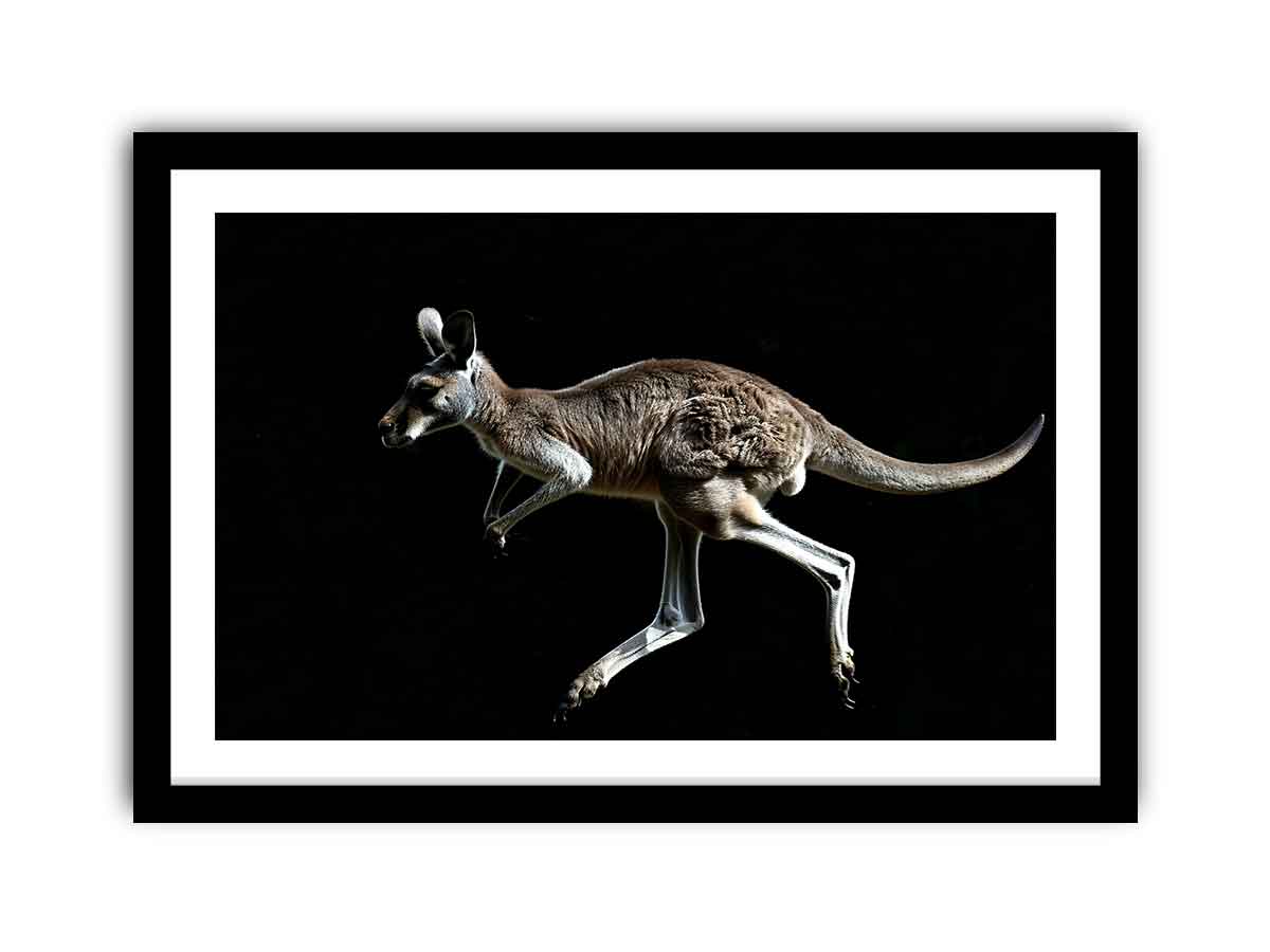Framed Print