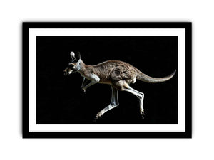 Framed Print