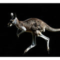Kangaroo