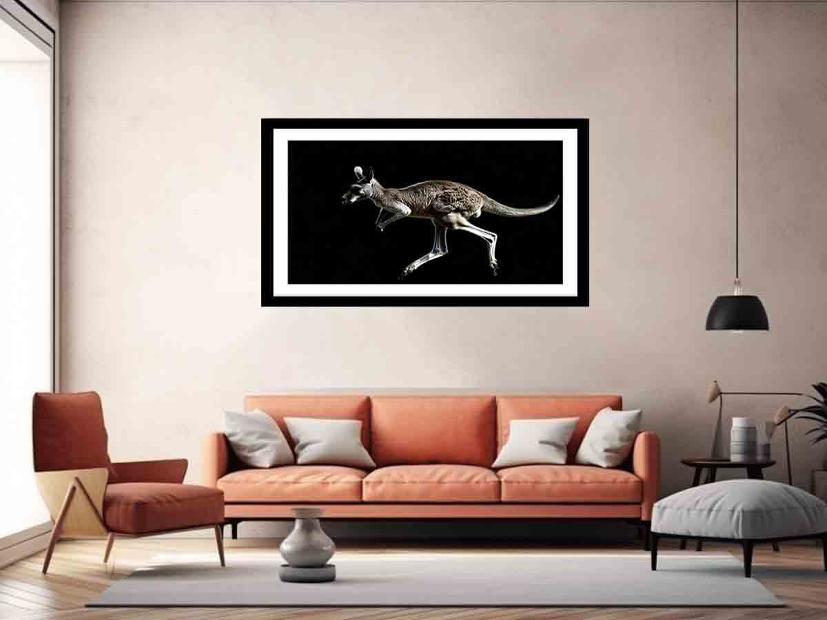 Kangaroo
