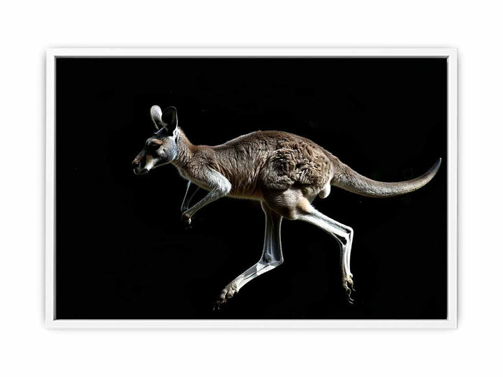 Kangaroo Painting