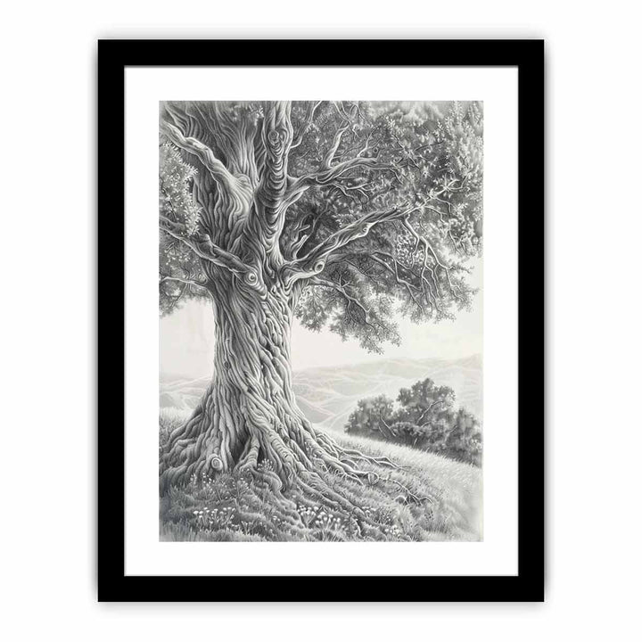 Tree of Peace  Pencil  Art framed Print