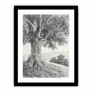 Framed Print