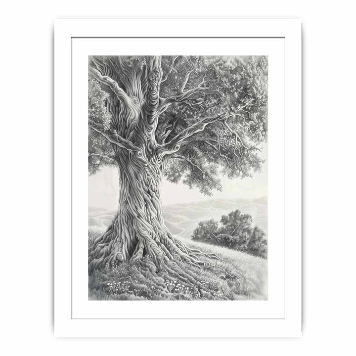 Tree of Peace  Pencil  Art framed Print