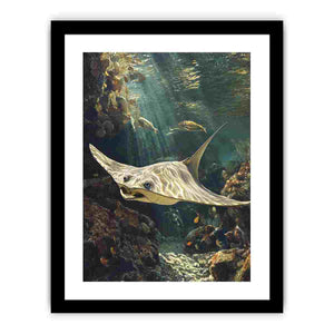 Framed Print