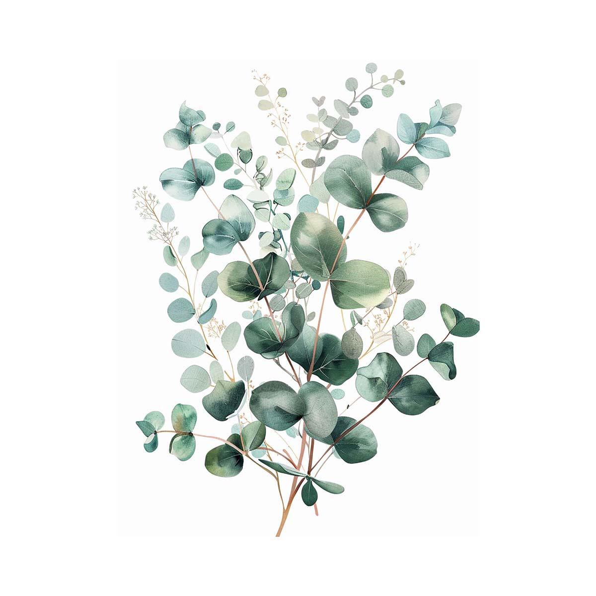 Eucalyptus Flower