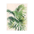 Areca Palm