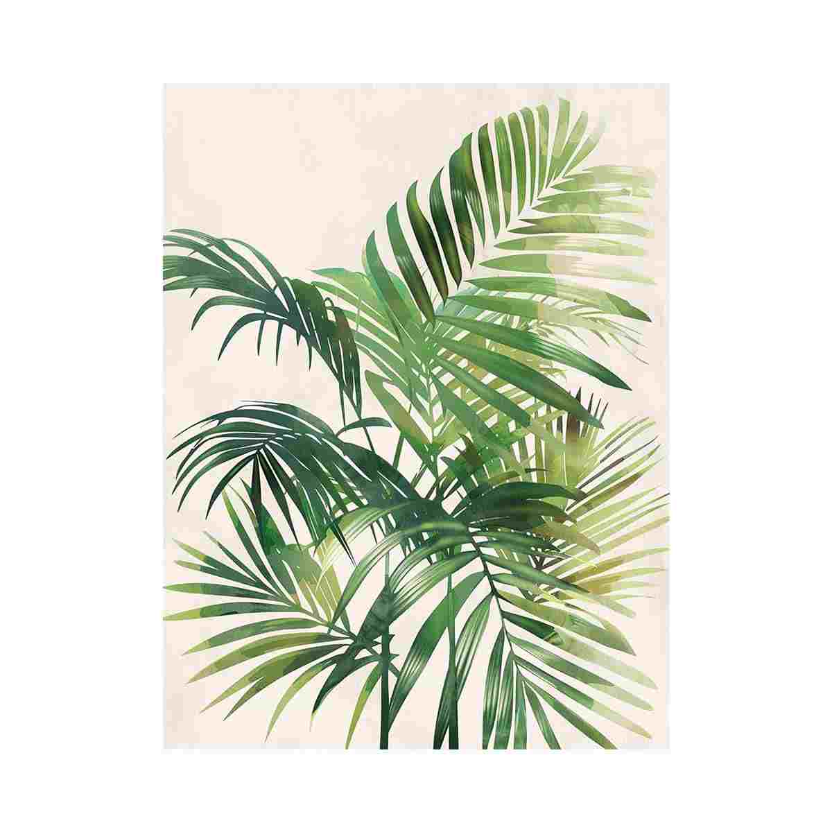 Areca Palm