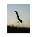 Somersault