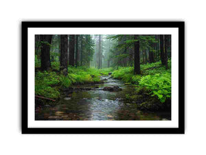 Framed Print