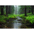 Eli Creek