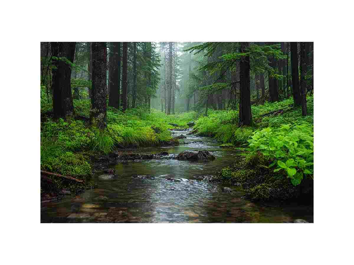 Eli Creek