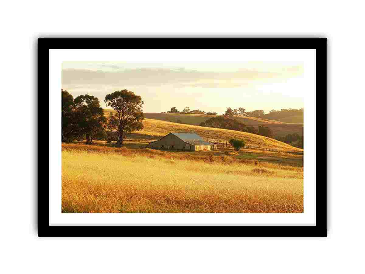 Framed Print