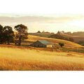 Farm 