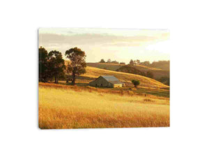 Streched canvas
