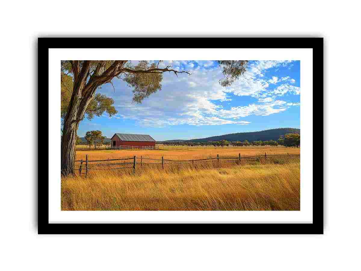 Framed Print