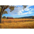 Farm 